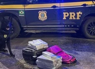 Mulher é detida com mais de 16 kg de maconha em ônibus na BR-040, saindo de Uberaba para o DF Mulher é detida com mais de 16 kg de maconha em ônibus na BR-040, saindo de Uberaba para o DF