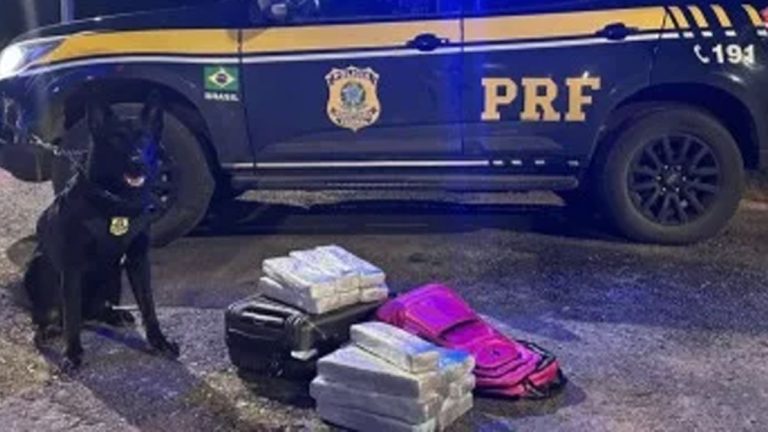 Mulher é detida com mais de 16 kg de maconha em ônibus na BR-040, saindo de Uberaba para o DF