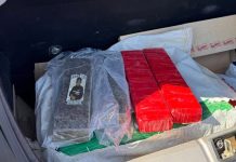 Operação da PF Confisca 30 kg de Maconha nos Arredores de Uberlândia Operação da PF Confisca 30 kg de Maconha nos Arredores de Uberlândia