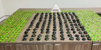 PM apreende mais de 4 mil porções de cocaína e detém casal por tráfico em Uberlândia PM apreende mais de 4 mil porções de cocaína e detém casal por tráfico em Uberlândia