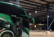 PRF intercepta ônibus com 17 passageiros em MG e descobre que motorista adquiriu CNH por R$ 1.200 PRF intercepta ônibus com 17 passageiros em MG e descobre que motorista adquiriu CNH por R$ 1.200