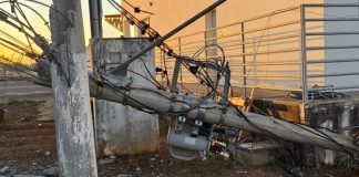 Patos de Minas: Galho de árvore provoca queda de poste e afeta rede elétrica no CEASA Patos de Minas Galho de árvore provoca queda de poste e afeta rede elétrica no CEASA