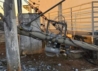 Patos de Minas: Galho de árvore provoca queda de poste e afeta rede elétrica no CEASA Patos de Minas Galho de árvore provoca queda de poste e afeta rede elétrica no CEASA