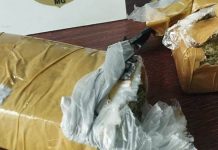 Patrocínio: Mulher É Detida em Flagrante com Um Quilo de Maconha Patrocínio Mulher É Detida em Flagrante com Um Quilo de Maconha