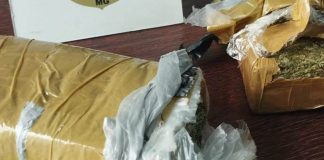 Patrocínio: Mulher É Detida em Flagrante com Um Quilo de Maconha Patrocínio Mulher É Detida em Flagrante com Um Quilo de Maconha