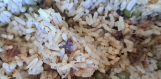 Profissional de Saúde Se Torna Ré em MG por Tentar Matar Namorado com Veneno de Rato Durante Jantar Profissional de Saúde Se Torna Ré em MG por Tentar Matar Namorado com Veneno de Rato Durante Jantar