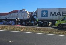 Acidente fatal: Motorista morre em colisão de caminhões na BR-050, Araguari Acidente fatal: Motorista morre em colisão de caminhões na BR-050, Araguari