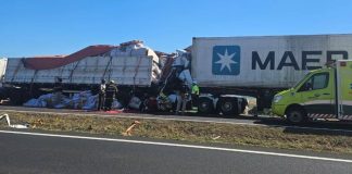 Acidente fatal: Motorista morre em colisão de caminhões na BR-050, Araguari Acidente fatal: Motorista morre em colisão de caminhões na BR-050, Araguari