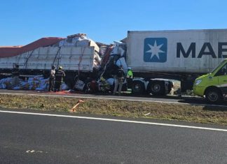 Acidente fatal: Motorista morre em colisão de caminhões na BR-050, Araguari Acidente fatal: Motorista morre em colisão de caminhões na BR-050, Araguari