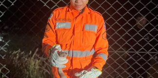 Cobra é resgatada por bombeiros em fazenda de painéis solares em Ituiutaba Cobra é resgatada por bombeiros em fazenda de painéis solares em Ituiutaba