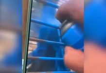 Homem é multado em mais de R$ 17 mil em MG por pintar macaco de azul Homem é multado em mais de R$ 17 mil em MG por pintar macaco de azul