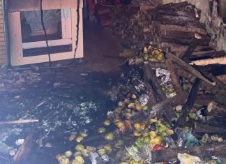 Incêndio em Depósito Aterrorizou Moradores de Araguari Durante a Madrugada Incêndio em Depósito Aterrorizou Moradores de Araguari Durante a Madrugada