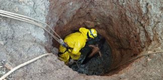 Cavalo cai em fossa de 10 metros em Unaí e operação de resgate é mobilizada Cavalo cai em fossa de 10 metros em Unaí e operação de resgate é mobilizada