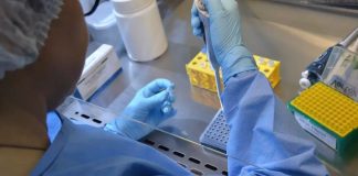 Detecção de nova variante da Covid-19 no Brasil acende alerta entre especialistas Detecção de nova variante da Covid-19 no Brasil acende alerta entre especialistas