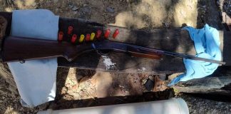 Durante Operação Ambiental em Três Marias, Pescador é Detido por Posse Ilegal de Arma Durante Operação Ambiental em Três Marias, Pescador é Detido por Posse Ilegal de Arma