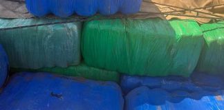 Em Tupaciguara, Denarc realiza a maior apreensão de maconha do ano: 7,5 toneladas Em Tupaciguara, Denarc realiza a maior apreensão de maconha do ano: 7,5 toneladas