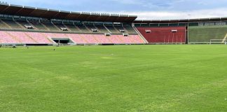 Parque do Sabiá pode receber grama sintética para realização de shows Parque do Sabiá pode receber grama sintética para realização de shows