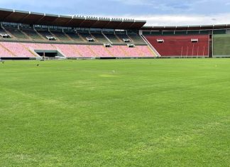 Parque do Sabiá pode receber grama sintética para realização de shows Parque do Sabiá pode receber grama sintética para realização de shows