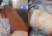 Passageira é Arrastada por Motorista de Aplicativo Após Impasse no Pagamento em Uberlândia Passageira é Arrastada por Motorista de Aplicativo Após Impasse no Pagamento em Uberlândia