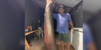 Pescador Captura Pirarucu Gigante no Rio Paranaíba e Impressiona com a Imagem Pescador Captura Pirarucu Gigante no Rio Paranaíba e Impressiona com a Imagem