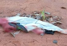 Polícia encontra corpos de casal desaparecido em área de grota no Triângulo Mineiro Polícia encontra corpos de casal desaparecido em área de grota no Triângulo Mineiro