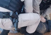 Polícia usa drone térmico para prender foragido escondido em milharal no Triângulo Mineiro Polícia usa drone térmico para prender foragido escondido em milharal no Triângulo Mineiro
