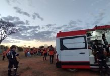 Abelhas Atacam Legendários em Retiro Espiritual em Caldas Novas Abelhas Atacam Legendários em Retiro Espiritual em Caldas Novas