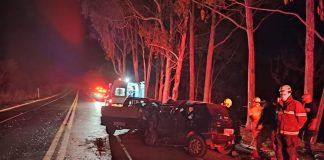 Acidente fatal em João Pinheiro: Casal perde a vida preso às ferragens na BR-365 Acidente fatal em João Pinheiro: Casal perde a vida preso às ferragens na BR-365