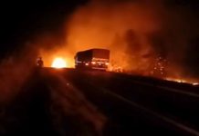 Colisão fatal entre carro e caminhão boiadeiro resulta em cinco mortes na MGC-497 Colisão fatal entre carro e caminhão boiadeiro resulta em cinco mortes na MGC-497