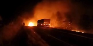 Colisão fatal entre carro e caminhão boiadeiro resulta em cinco mortes na MGC-497 Colisão fatal entre carro e caminhão boiadeiro resulta em cinco mortes na MGC-497