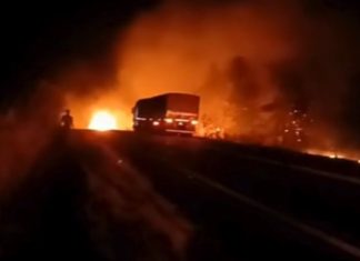Colisão fatal entre carro e caminhão boiadeiro resulta em cinco mortes na MGC-497 Colisão fatal entre carro e caminhão boiadeiro resulta em cinco mortes na MGC-497