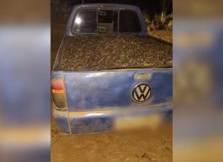 Funcionário de fazenda é detido por roubo de 40 sacas de café em Patrocínio Funcionário de fazenda é detido por roubo de 40 sacas de café em Patrocínio