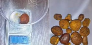 Funcionário de frigorífico é detido em Araguari por furto de ‘pedras de fel’ Funcionário de frigorífico é detido em Araguari por furto de ‘pedras de fel’