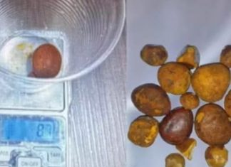 Funcionário de frigorífico é detido em Araguari por furto de ‘pedras de fel’ Funcionário de frigorífico é detido em Araguari por furto de ‘pedras de fel’