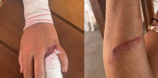 Homem é Preso em Uberaba Após Atacar Ex-Companheira com Facão Homem é Preso em Uberaba Após Atacar Ex-Companheira com Facão