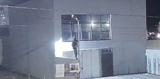 Homem invade barracão no bairro São Jorge em Uberlândia e furta fios após escalar muro Homem invade barracão no bairro São Jorge em Uberlândia e furta fios após escalar muro