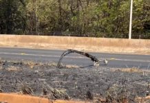 Incêndio próximo ao Parque do Sabiá danifica radar na BR-365 em Uberlândia Incêndio próximo ao Parque do Sabiá danifica radar na BR-365 em Uberlândia