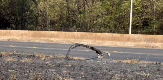 Incêndio próximo ao Parque do Sabiá danifica radar na BR-365 em Uberlândia Incêndio próximo ao Parque do Sabiá danifica radar na BR-365 em Uberlândia