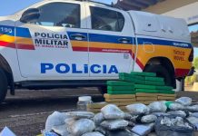 Motorista de app disfarçado é preso com 60 kg de maconha em MG Motorista de app disfarçado é preso com 60 kg de maconha em MG