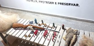 Operação da PM em Lagoa Grande Revela Couro de Jacaré e Ilegalidade de Armas Operação da PM em Lagoa Grande Revela Couro de Jacaré e Ilegalidade de Armas