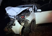Acidente na BR-497 em Uberlândia: homem socorrido após bater em árvore Acidente na BR-497 em Uberlândia: homem socorrido após bater em árvore
