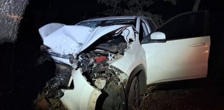 Acidente na BR-497 em Uberlândia: homem socorrido após bater em árvore Acidente na BR-497 em Uberlândia: homem socorrido após bater em árvore