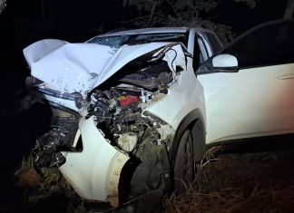 Acidente na BR-497 em Uberlândia: homem socorrido após bater em árvore Acidente na BR-497 em Uberlândia: homem socorrido após bater em árvore