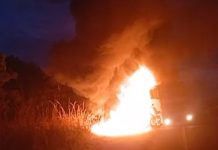 Carreta incendeia perto de plantação de pinus e Bombeiros de Uberlândia são acionados Carreta incendeia perto de plantação de pinus e Bombeiros de Uberlândia são acionados
