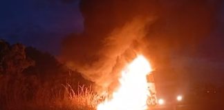 Carreta incendeia perto de plantação de pinus e Bombeiros de Uberlândia são acionados Carreta incendeia perto de plantação de pinus e Bombeiros de Uberlândia são acionados