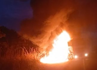 Carreta incendeia perto de plantação de pinus e Bombeiros de Uberlândia são acionados Carreta incendeia perto de plantação de pinus e Bombeiros de Uberlândia são acionados