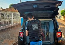 Homem é preso em Uberlândia por crimes contra adolescentes, segundo polícia do PR Homem é preso em Uberlândia por crimes contra adolescentes, segundo polícia do PR