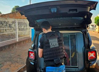 Homem é preso em Uberlândia por crimes contra adolescentes, segundo polícia do PR Homem é preso em Uberlândia por crimes contra adolescentes, segundo polícia do PR
