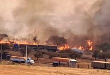 Incêndio na Área Industrial de Uberlândia Devasta Vegetação e Libera Fumaça nas Proximidades Incêndio na Área Industrial de Uberlândia Devasta Vegetação e Libera Fumaça nas Proximidades