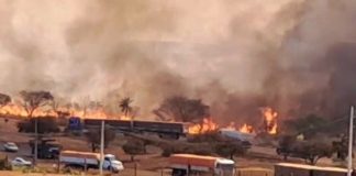 Incêndio na Área Industrial de Uberlândia Devasta Vegetação e Libera Fumaça nas Proximidades Incêndio na Área Industrial de Uberlândia Devasta Vegetação e Libera Fumaça nas Proximidades